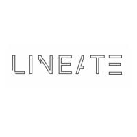 Lineate image 1